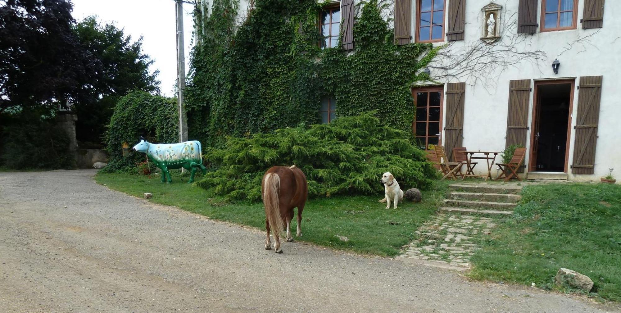 Ferme Du Montheu Panzió Dommartin sous Amance Kültér fotó
